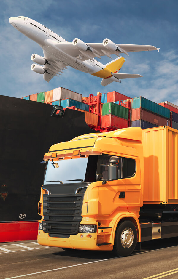 Kapadokya Nakliye Scripti V12